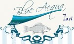 Blue Acqua logo