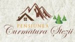 Restaurant Logo