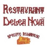 Delea Noua logo