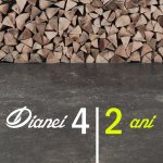 Dianei 4 logo