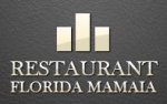 Florida logo