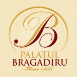 Palatul Bragadiru logo