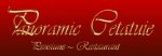 Panoramic logo