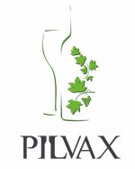 Pilvax logo