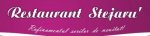 Stejaru logo