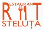 Steluta logo