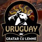Uruguay logo